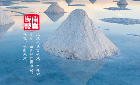 博扬品牌策划为海南盐业集团公司产品设计包装